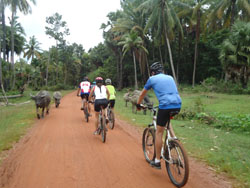 countryside bike ride